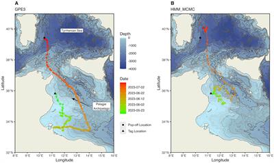 First satellite track of a juvenile shortfin mako shark (Isurus oxyrinchus) in the Mediterranean Sea